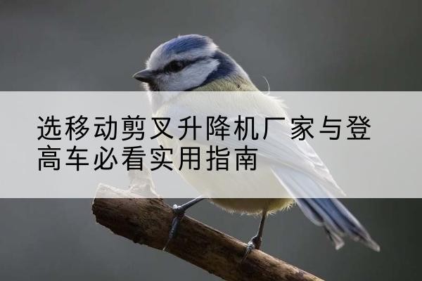 成武电动升降机厂家-选移动剪叉升降机厂家与登高车必看实用指南