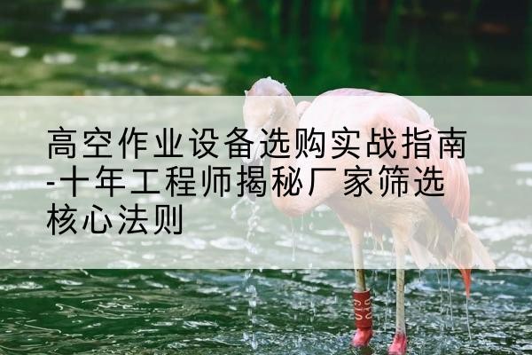成武剪叉式升降机厂家-高空作业设备选购实战指南-十年工程师揭秘厂家筛选核心法则