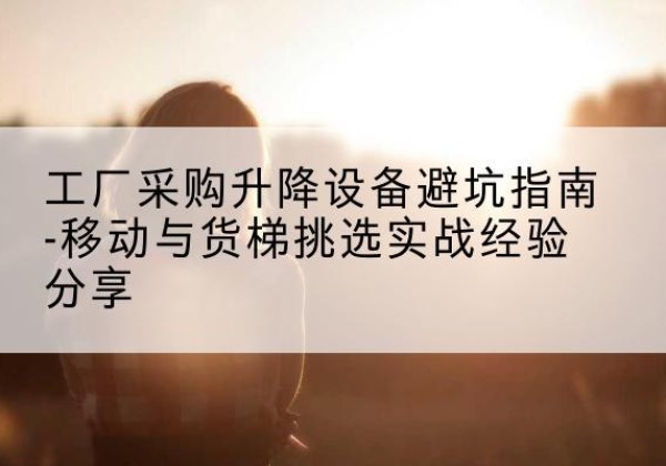 成武移动式升降机怎么选-工厂采购升降设备避坑指南-移动与货梯挑选实战经验分享