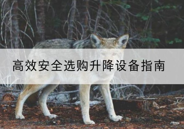 成武升降货梯厂家推荐-*安全选购升降设备指南