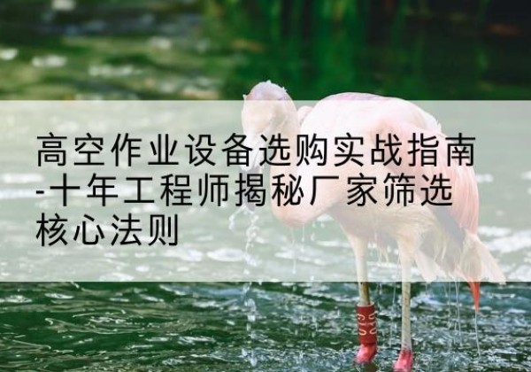 成武剪叉式升降机厂家-高空作业设备选购实战指南-十年工程师揭秘厂家筛选核心法则